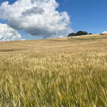 Koehn - Ostholstein